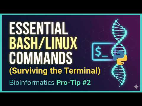 Bioinformatics Pro-Tip #2: Essential Bash/Linux Commands (Surviving the Terminal)