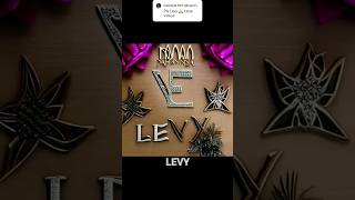 Levy Name Logo design #shots  #logomark #shots