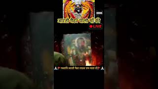 Maihar devi live aarti darshan | aarti maihar mata | maihar temple | #shorts #maihar