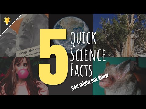 5 Quick Science Facts You Didn’t Know