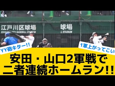 【YY砲キター！！】安田・山口2軍戦で二者連続ホームラン！！【千葉ロッテマリーンズ】【プロ野球反応集】