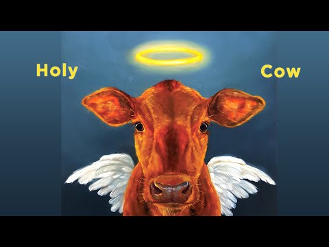Holy Cow!