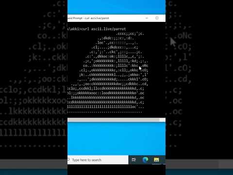 CMD | command | Parrot in cmd #short #windows #computer