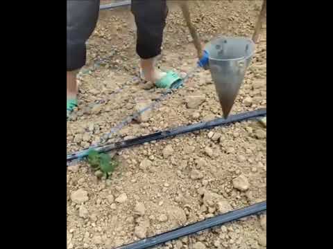 smart simple solution
