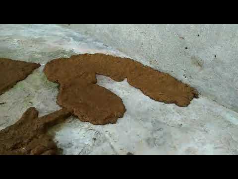 ⭐Gobar ke govardhan ⭐