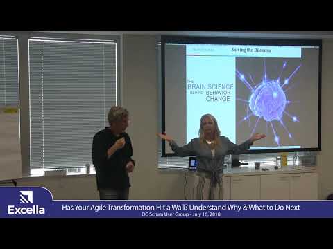 Has Your Agile Transformation Hit a Wall by Michele Madore and Michael Spayd