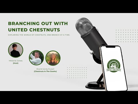 Roots of Sustainability: Chestnut Farming in the Ozarks | Branching Out