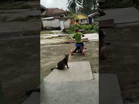 #shortvideo  ngakak hidupin sepeda