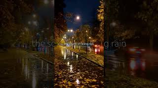 Rain in City #Rain #RainSounds #RainFall #CityRain #ASMR #Friends #Trending #Relaxing #music #Fall