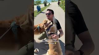Walk past my dog and see if it can recognize me.#dog #dogsoftiktok #doglover #funny #funnyvideos