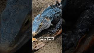 "Your Eyes Are Being Tricked by Blue! 😵‍💫"#mind warp science