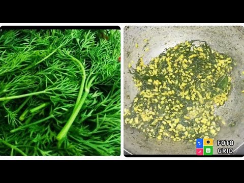 ಸಬಸ್ಸಿಗೆ ಸೊಪ್ಪಿನ ಪಲ್ಯ ಒಮ್ಮೆ ಈ ರೀತಿ ಮಾಡಿ ನೋಡಿ// #healthyfood#dillleaves#kannadafoodrecipes #trending