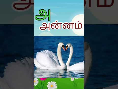 அ - வரிசை சொற்கள்|learn tamil | #shorts #ytshorts #viral #kids