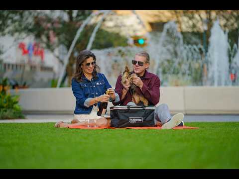 Huizenga Park Reimagined: The New Heart of Downtown Fort Lauderdale