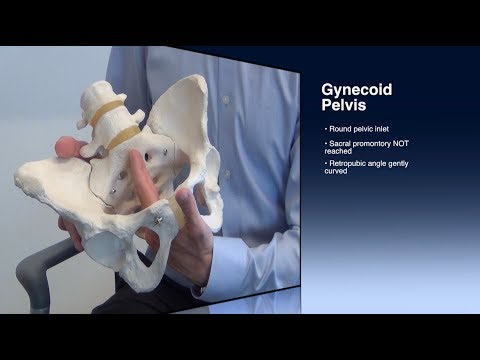 Clinical Pelvimetry