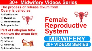 Anatomy of Female Reproductive System | 30 Important MCQs for Midwifery Nursing quiz 2025