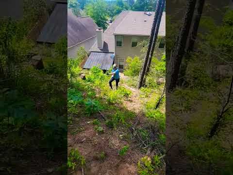 This is just to get to the trees we are taking down.
