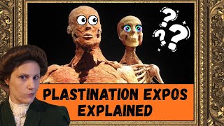 Plastination Exhibitions Explained: Body Worlds, Ethics, and Human Rights