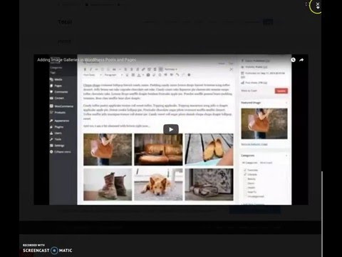 Adding A Video Lightbox in WordPress Total Theme