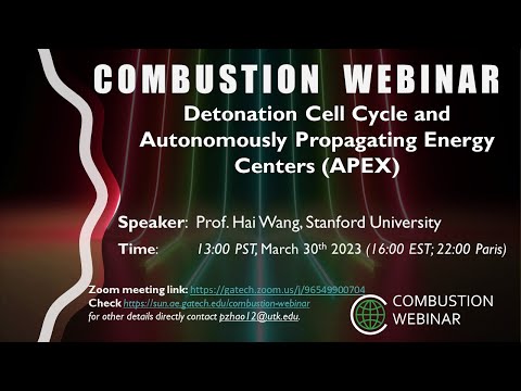 Detonation Cell Cycle and Autonomously Propagating Energy Centers (APEX)