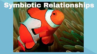 Examples of Symbiotic Relationships