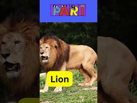 Letter L @paristories21 #LetterL #Lion#Lake #Library #Lovely #Lucky #LoveNature #LaughterIsTheBest