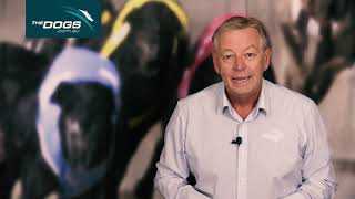 TheDogs Week In Review with Mark Duclos 15032021