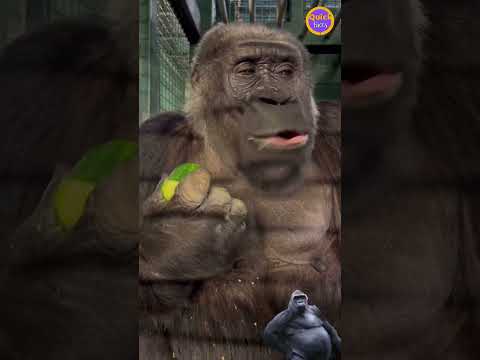 This video is worth watching #Information #Trend #Shorts #Explore