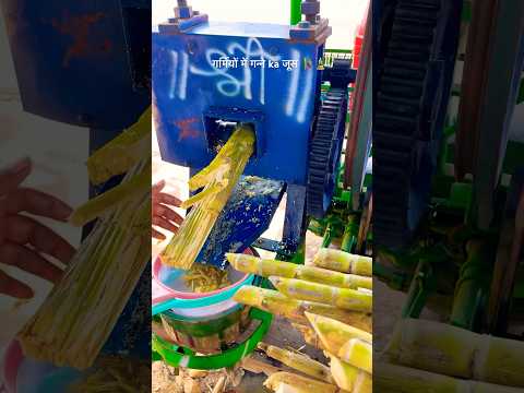 गांव में गर्मियो ka मज़ा #trendingshorts #village #summer #water