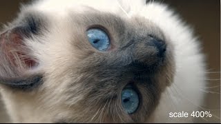 Blackmagic Production 4k Camera -  quality test - prores 4k - FCPX - Sigma 18-35 mm f1.8