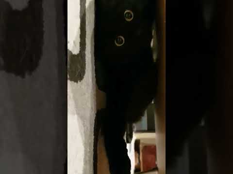 Eyes of Defensive Aggression (+10 Strength and Vitality on Watch)