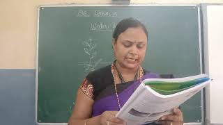 class ll c subject EVS lesson 5 water for life