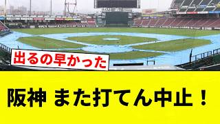 [Another Rainout! Hanshin's Rainout Streak Continues! [Pro Baseball Reaction Collection]]