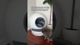 Join the follow train for tts growth! #followtrain #followtrain2024 #tts