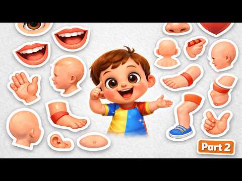 Baby Body Parts Song Part 2 | Head Shoulders Knees Toes | Learn Body Parts for Kids & Toddlers