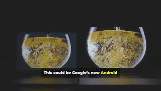 Google's Desktop Camera app hints at Android PCs #AndroidPC #GoogleDesktop #TechNews