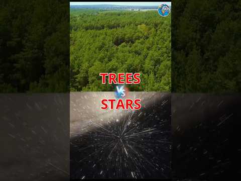 TREES VS STARS: Which One Is More Abundant?😳#facts #shorts #viralshorts