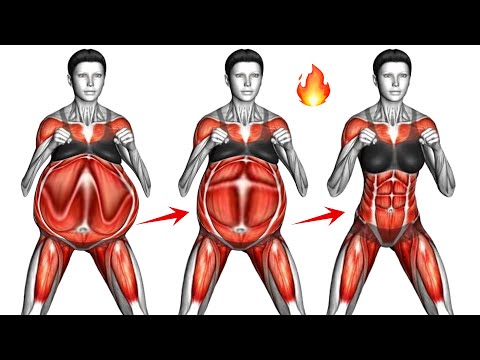 30-Min Morning Exercise Routine 🌞 Beginner Workout to Burn Fat & Get Fit — Do This Daily!