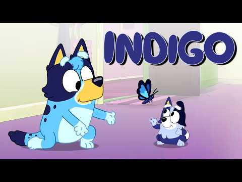 The Truth About Bluey's DAUGHTER (from Joe Brum)