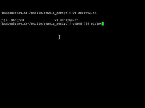 scripting   echo