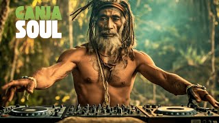🎶 High-Grade Reggae Vibes That Will Lift Your Soul! 🚀🌿