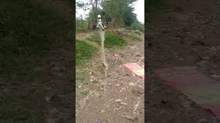 mancing jaring #shorts