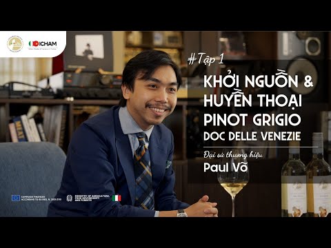 The Origins and Legacy of Pinot Grigio DOC Delle Venezie - Sommelier Paul Võ | EP 1