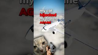 My Cat Hijacked My Airplane AGAIN!!!