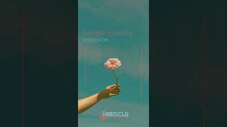 The key to be have a strong web presence  #website #webbuilding #businessgrowth #hibiscusmedia