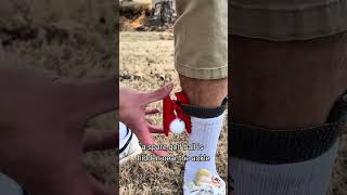 The Easiest Way People Cheat in Golf #golf #golfcheat #sportsfacts