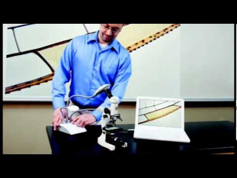 The Document Camera - MimioView, Backbone Communications