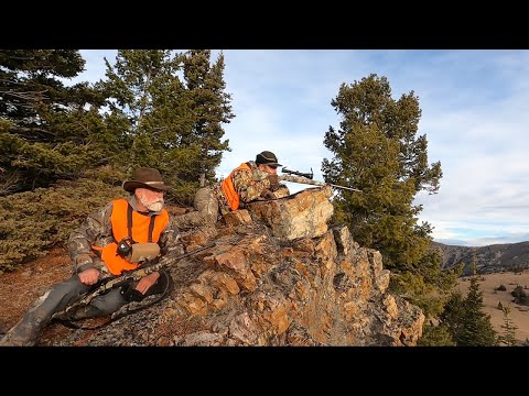 Elk Season 2021