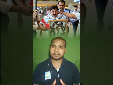 Mumbai Airport Snake Smuggling | #shorts