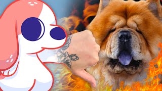 Why Chow Chows Are The Worst